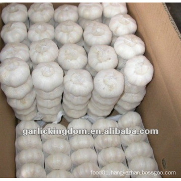 Chinese Fresh Garlic,250g mesh bag*40/10kg Ctn